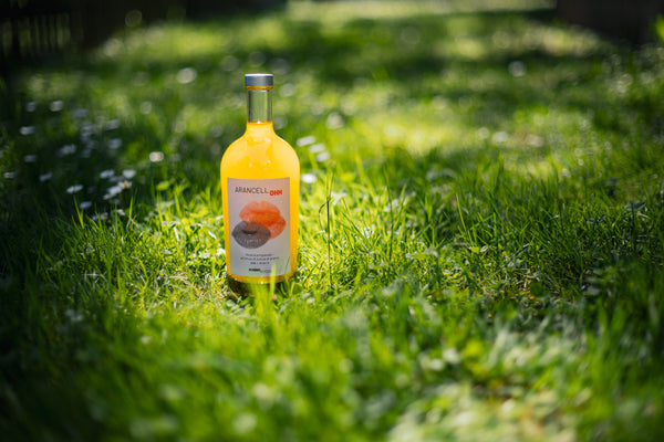 Spritz mit ArancellOHH — der perfekte Sommeraperitivo